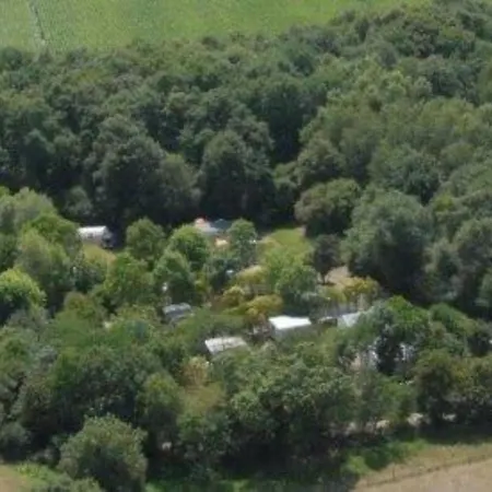 Mobil Confort Avec Terrasse A - Api-1-52-1360 Campsite